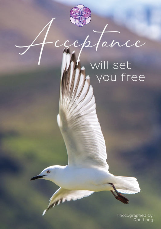 Acceptance is the place between resistance and ignoring