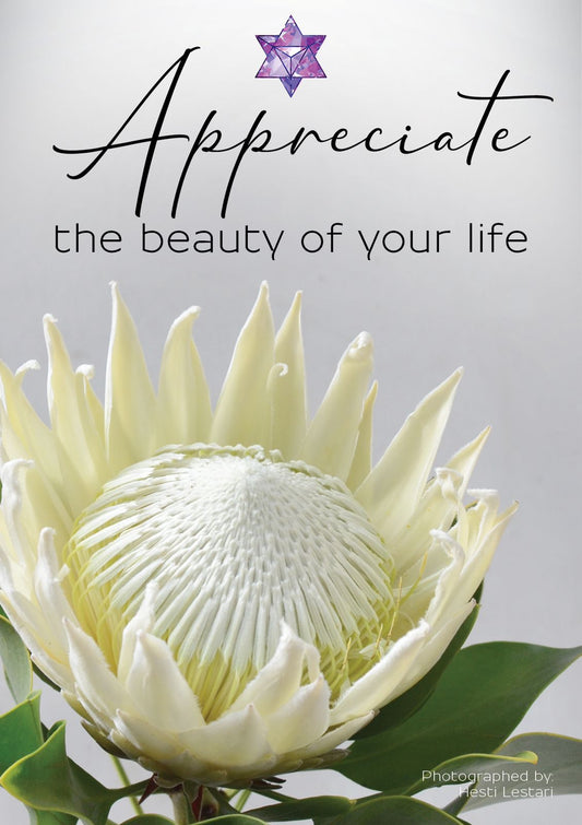 Appreciating all that is beautiful about you and in your life