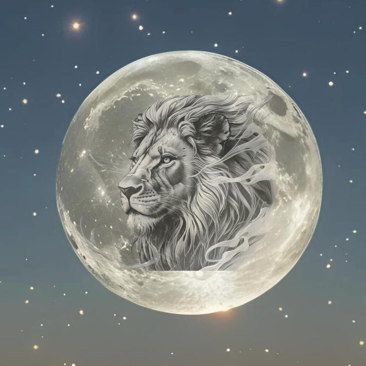 Lions Gate SPECIALS
