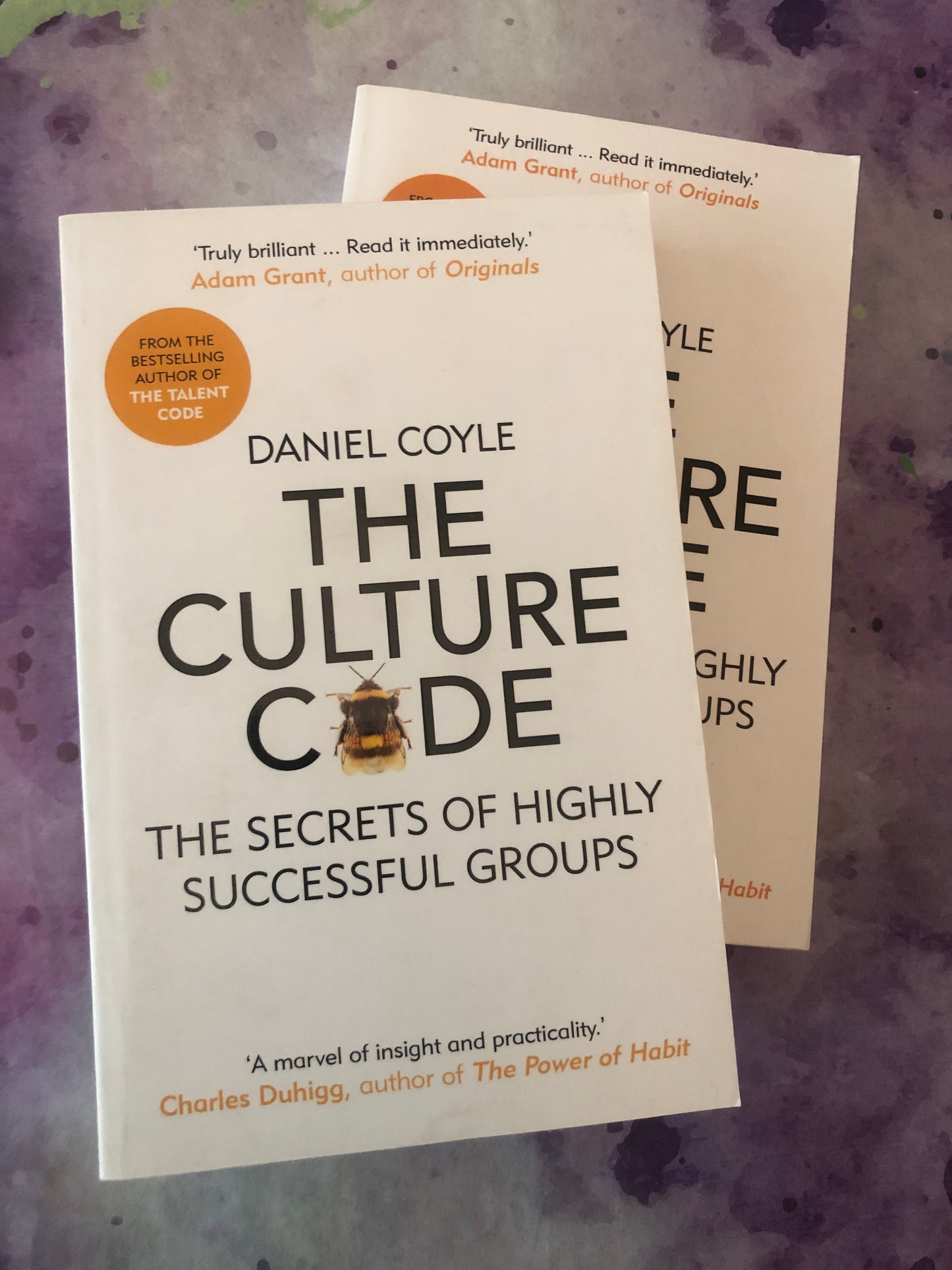The Culture Code, the secrets of highly successful groups, author Daniel Coyle