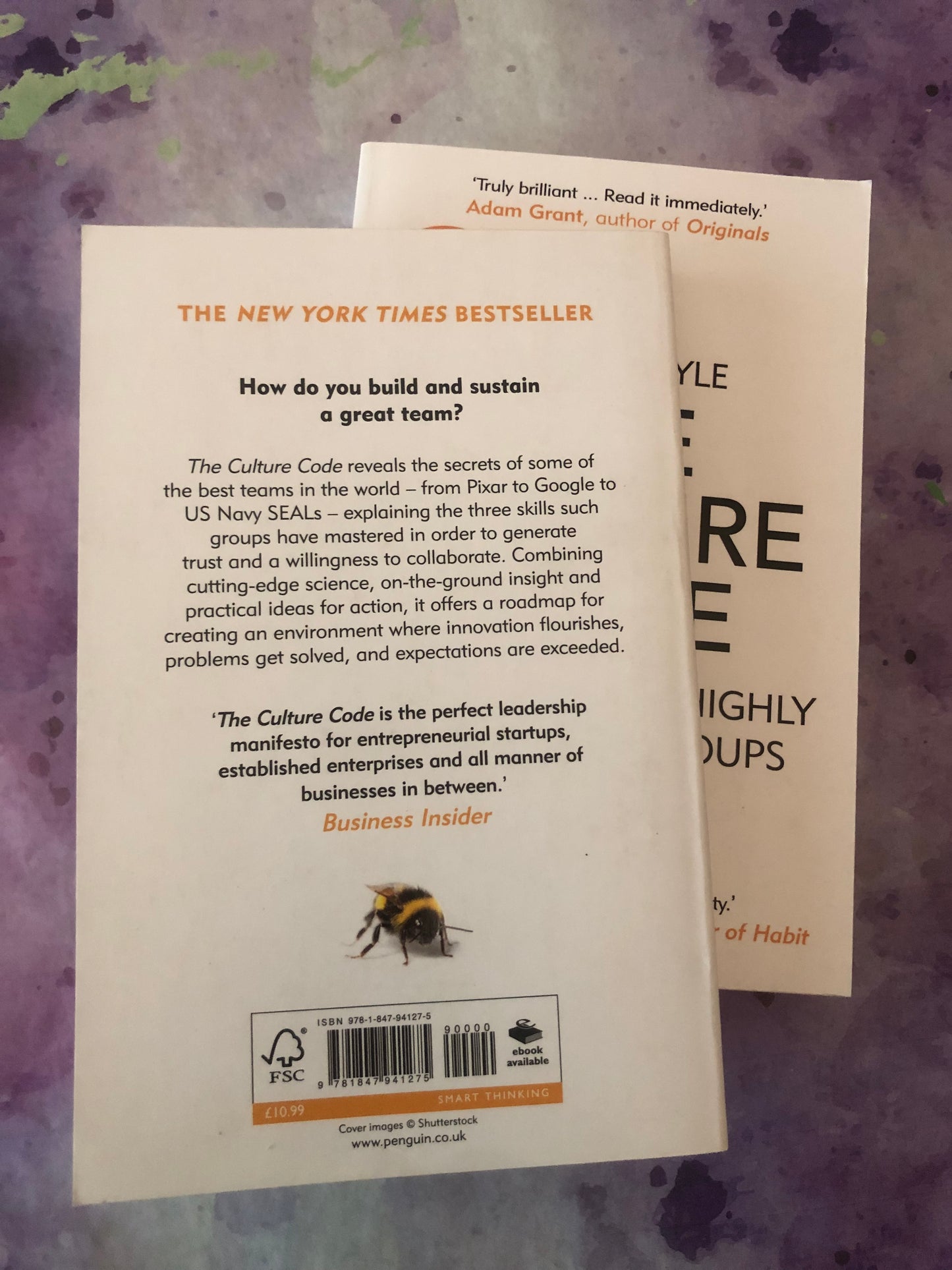 The Culture Code, the secrets of highly successful groups, author Daniel Coyle