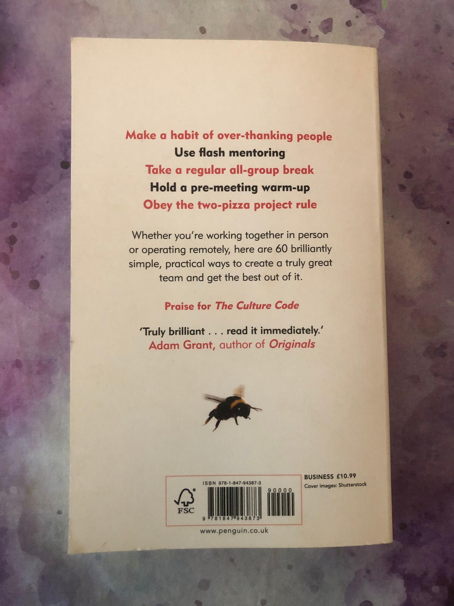 The Culture Playbook, author Daniel Coyle