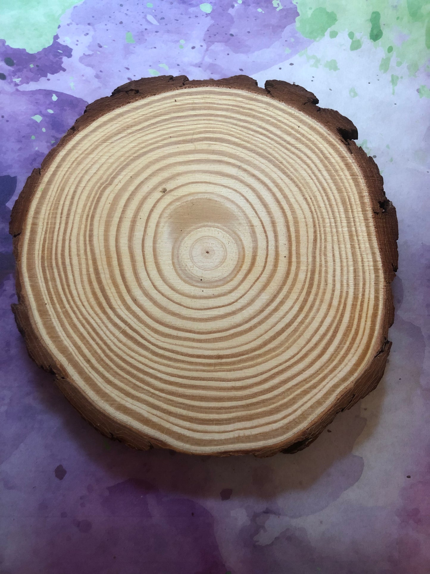 Tree of life, wood slice