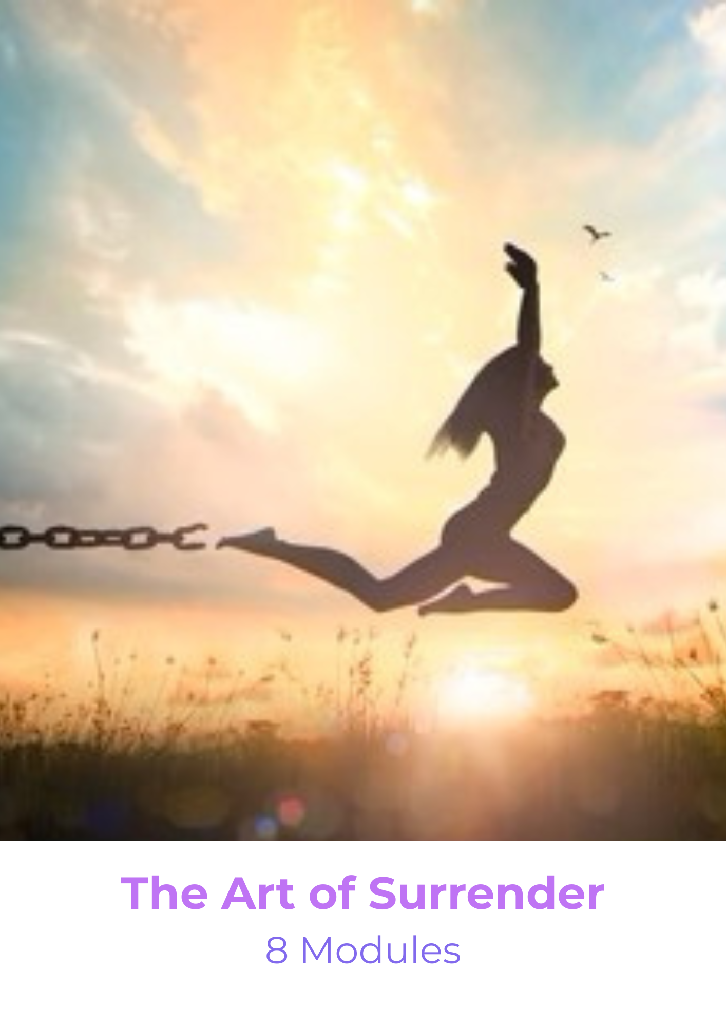 The Art of Surrender Online MasterClasses