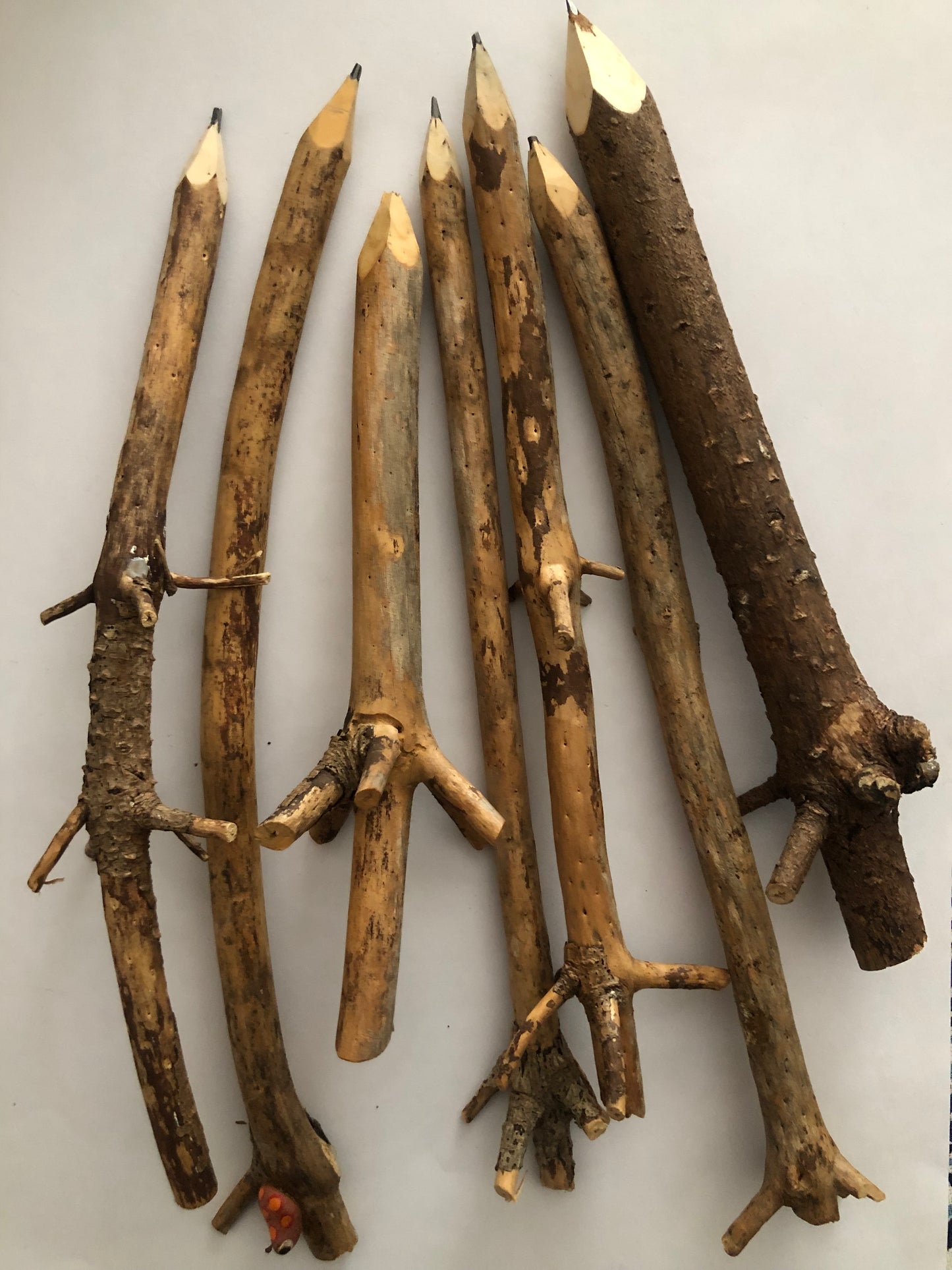 Wooden branch pencil
