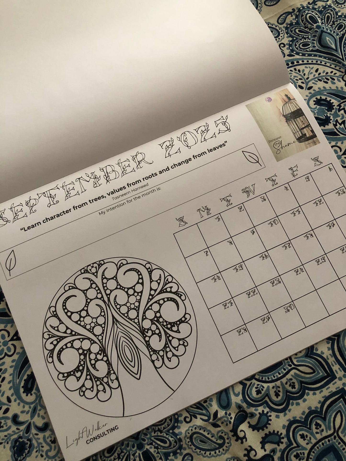 2025 LightWalker desk calendar