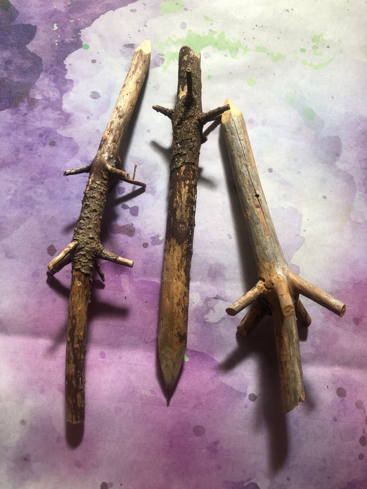 Wooden branch pencil