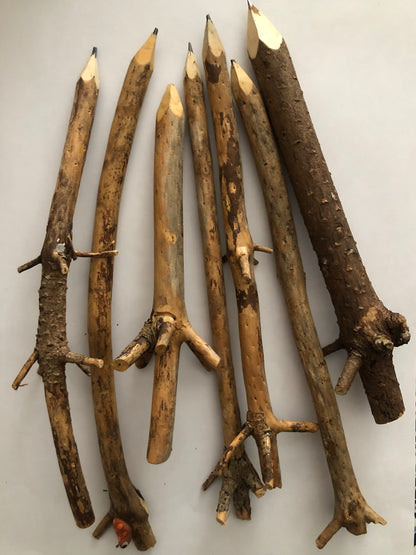 Wooden branch pencil